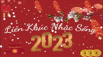 Ngày Tết Quê Em - Liên Khúc Nhạc Xuân 2023 Remix