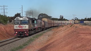 The Long Distance Trains Of The Trans Australian Railway