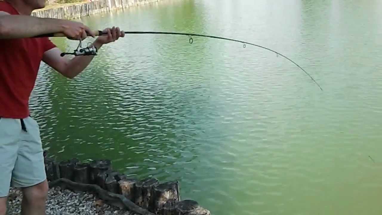Montature Per Pesca Al Pesce Gatto