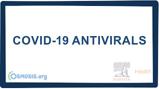COVID-19 antivirals