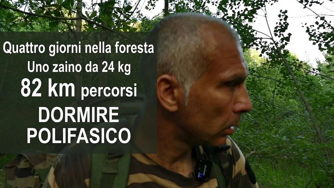 Come sopravvivere nella foresta