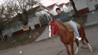 el corralero hernan figueroa reyes