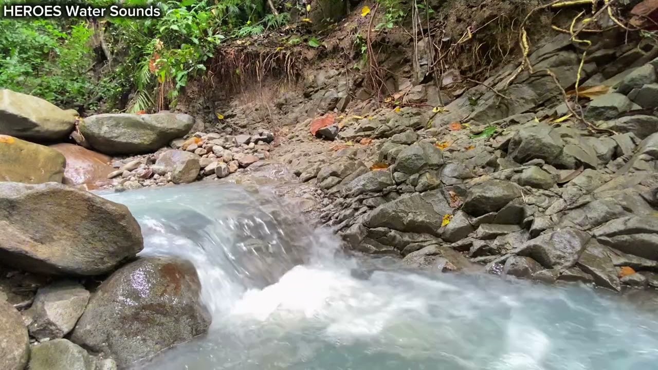 Small Waterfall ASMR Water Sounds | Calm Nature