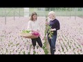 Bloom & Wild Meets Sara Gordon: From Seed to Bloom