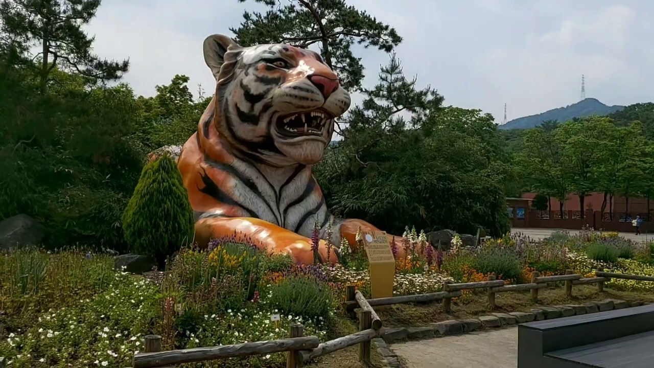 동물원 산책. South Korea. National grand park Zoo in Seoul. 과천 대공원 - YouTube