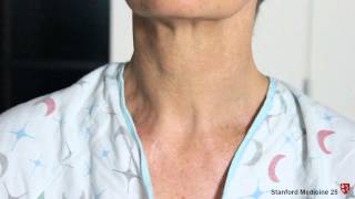 Bronchial And Vesicular Breath Sounds