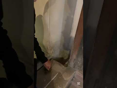 اصل كلمه طلع اللي تحت البلاطه  اكسبلور  معلومه في الخمسينه