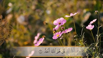 سورة الأخلاص - ماهر المعيقلي
