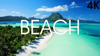 5 Minutes 4K Beach Nature