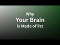 Omega-3s Explained: Boost Brain Health, Memory & Longevity 🧠🐟