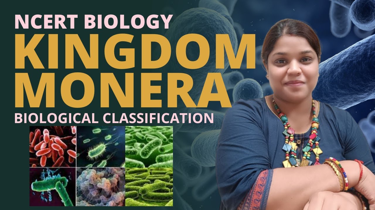 Kingdom Monera | Complete Topic | Biological Classification | Class XI |  NEET