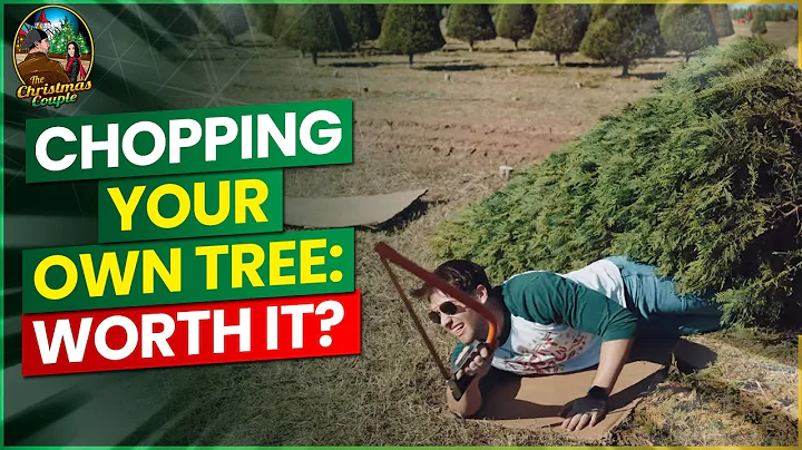 Cutting Down a REAL Christmas Tree!