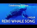 1 hour whale music for relaxation and meditation  reiki whale song