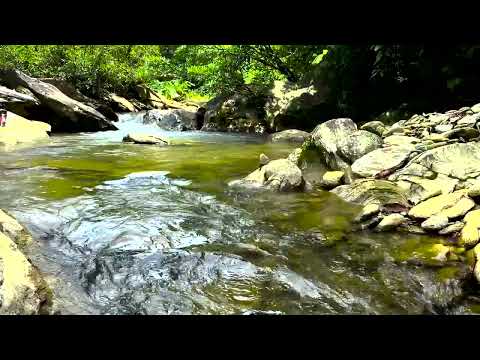 Relaxing Sleep Music Relieves Stress