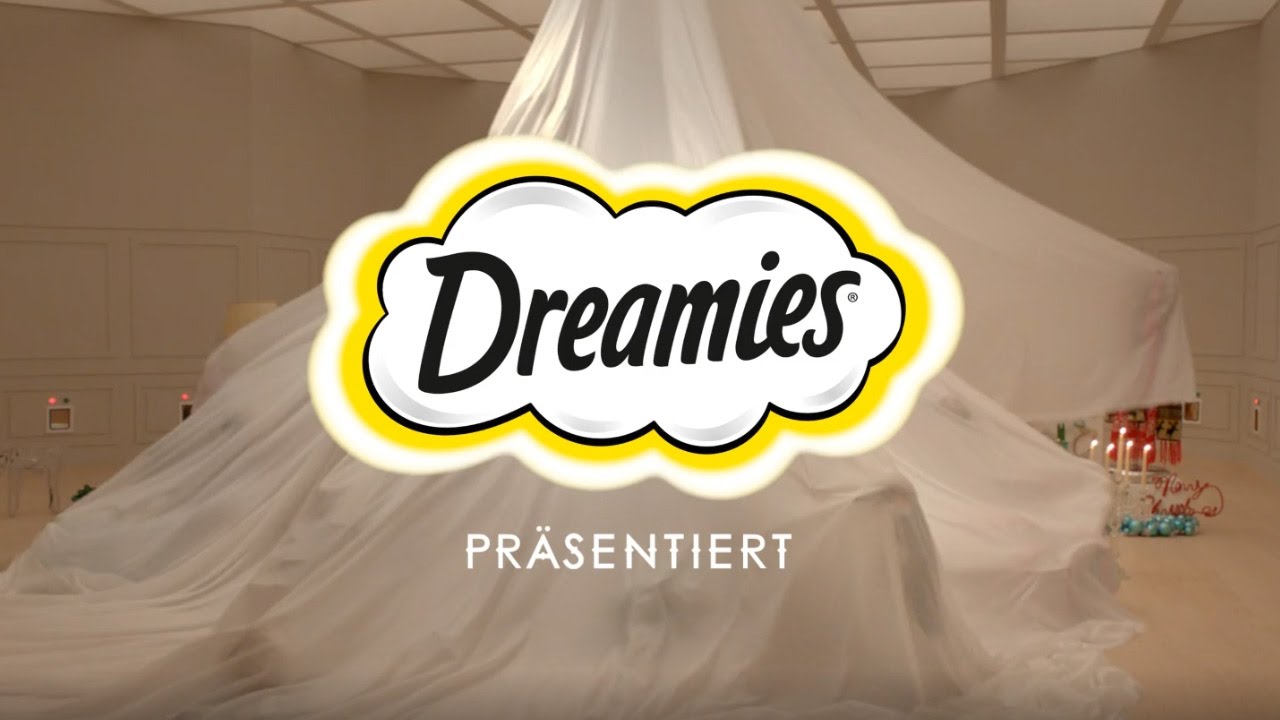 DREAMIES Katzensnacks Weihnachten 2016