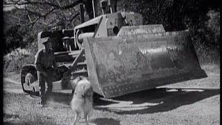 Lassie - Trapped - Episode #151 - Season 5, Ep.8 - 10/26/1958