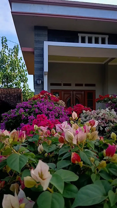 FLOWERS LAST UNTIL THEY ARE LATE TO WATER