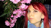 Ялта Жемчужина Крыма ʕ•ᴥ•ʔ Аня и Вика