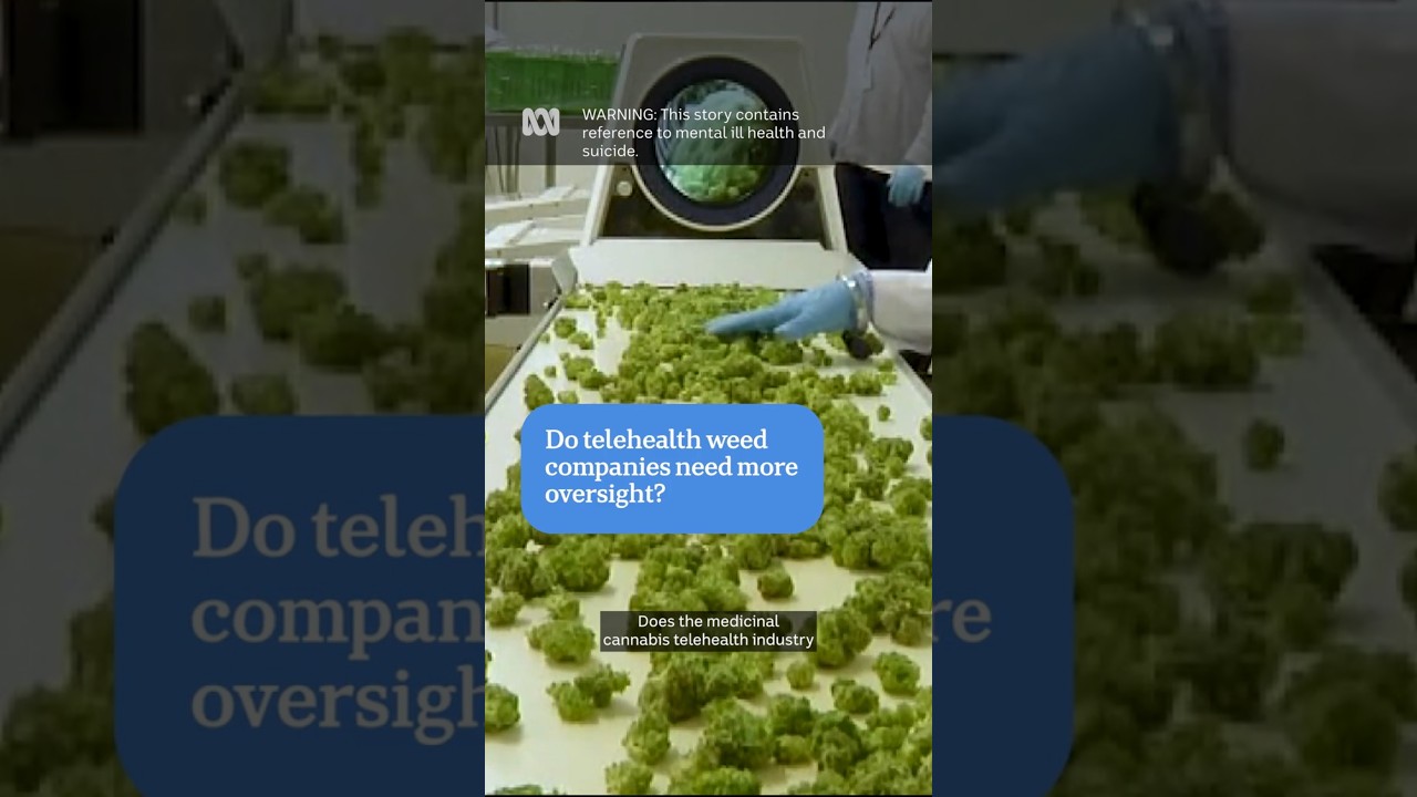 Medicinal cannabis doctors investigated after suicide, hospitalisation of patients | ABC News