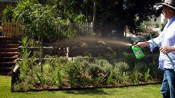 The Garden Gurus - Feeding Your Plants