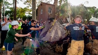 Manatee Rescue Jacksonville Fire and Rescue Department