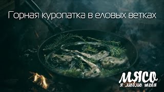 Горная куропатка в еловых ветках. Шведская кухня Горная куропатка в еловых ветках. Шведская кухня