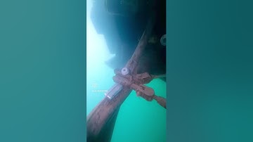 Arnenso drive zincs replacement. #underwater #diving #fishing #pontoonrental #pontoon