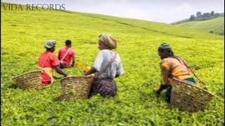 Dvine Brothers Feat. Tiro - Enough (Ritual Mix)