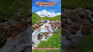 Annapurna Base Camp Trek