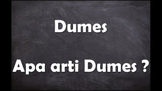 Apa arti kata Dumes ?