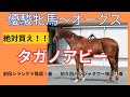 [オークス]激穴馬！！タガノアビー絶対買え！！