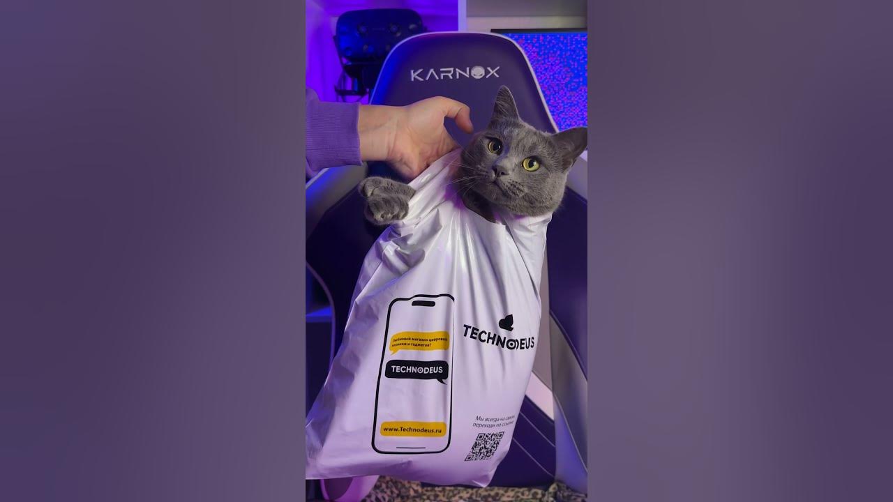 🛍️ Самый дорогой пакет в моей жизни #обзор - YouTube