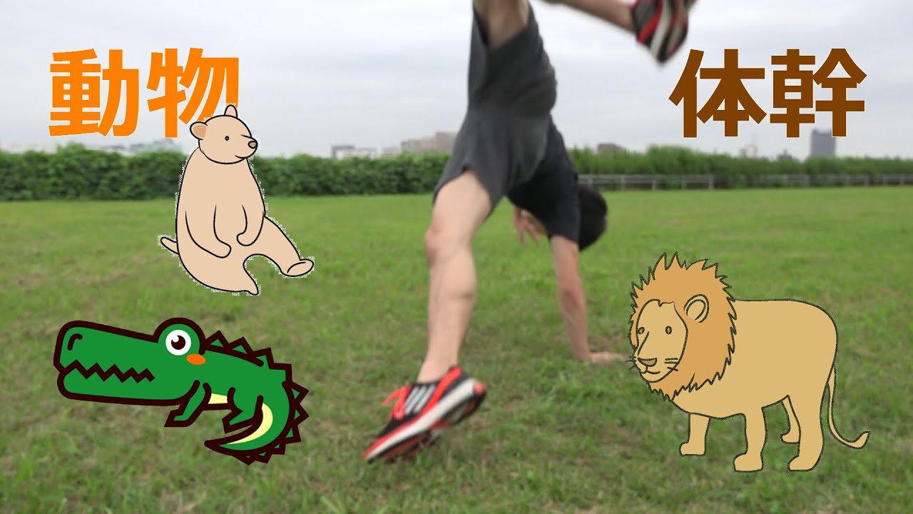 Core] Silk loves animal-like training!! - YouTube