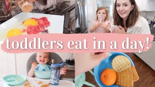 WHAT MY TODDLERS EAT IN A DAY 2021 | easy meal ideas for picky eaters! | 1 + 3 yrs old | KAYLA BUELL