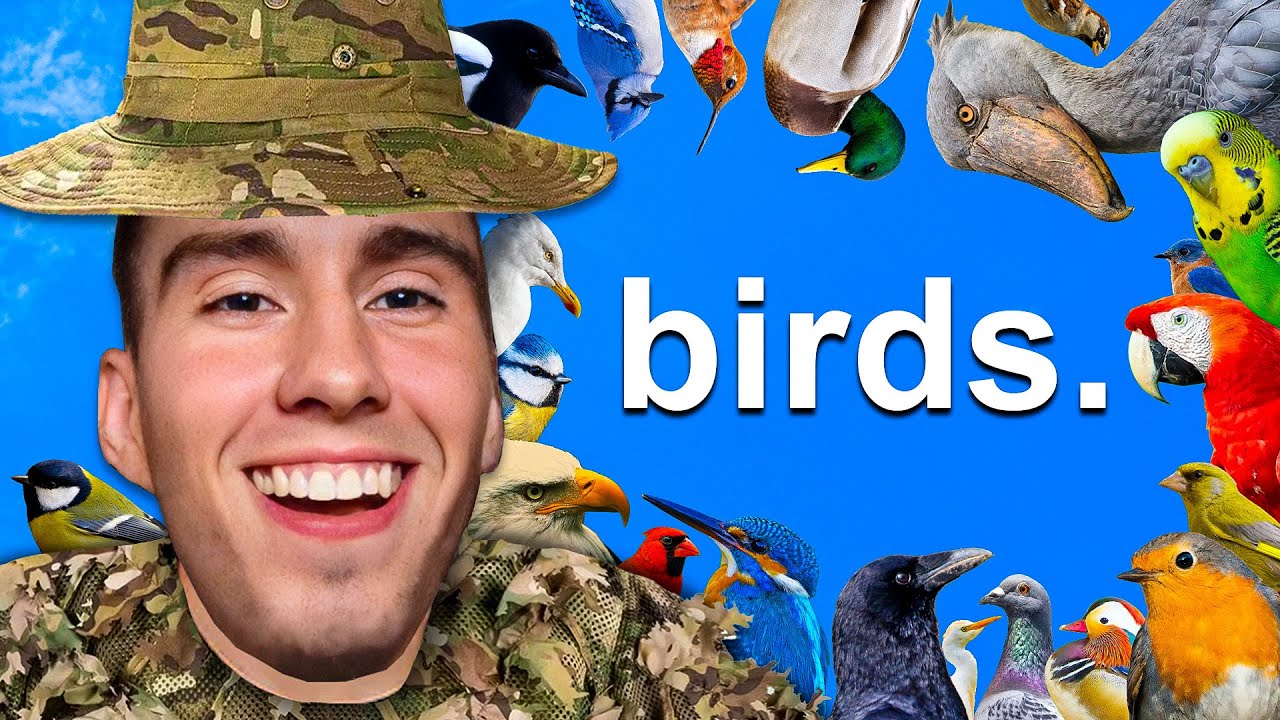 Latest Title & Thumbnail