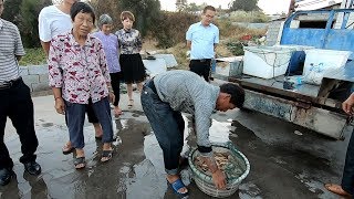 阿雄外海搞回几十斤海货,把院子当菜市场开卖,收钱称货忙不过来 阿雄外海搞回几十斤海货,把院子当菜市场开卖,收钱称货忙不过来