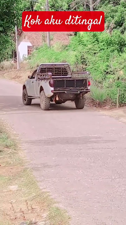 aku kan mau ikut kenapa ditingal sedih nya#funny #fypviral #videoshort