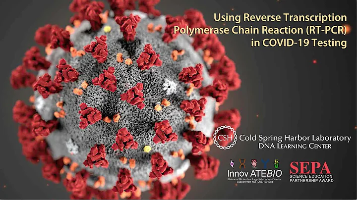 Using Reverse Transcription Polymerase Chain Reaction (RT-PCR) in COVID-19 Testing - DayDayNews