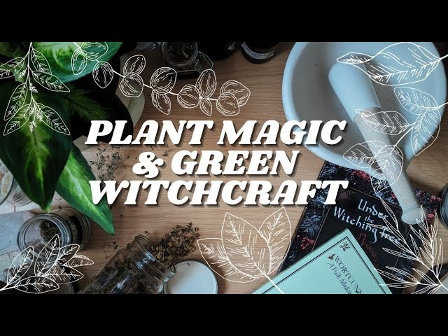 The Modern Witchcraft Guide to Magickal Herbs: Your Complete Guide to the  Hidden Powers of Herbs by Judy Ann Nock – Audiobooks on Google Play