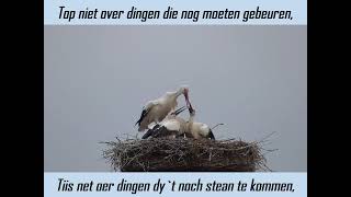 Sit net yn noed   De Dobber uit Harich   undertiteling nederlânsk   frysk