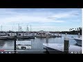 We stopped at NEW SMYRNA MARINA for lunch and saw hundreds of Catfish and WILD DOLPHINS TOO!