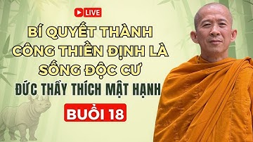LDC18 | Bí quyết thành công thiền định là sống độc cư - Đức Thầy Thích Mật Hạnh (2/10/2025)