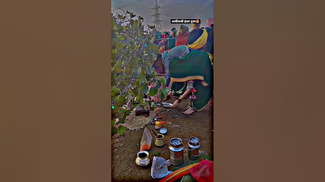 %E0%A4%86%E0%A4%A6%E0%A5%80%E0%A4%B5%E0%A4%BE%E0%A4%B8%E0%A5%80+%E0%A4 ...