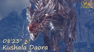 Kushala Daora 0823 Insect Glaive Monster Hunter World Iceborne Sub 10 Challenge