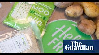 Why HelloFresh Is Slumping: The Real Reasons Behind the Meal Kit Dip