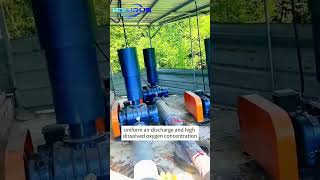 Supercharge Your Pond with Roots Blower Aeration!  Faster Oxygenation, Cleaner Water, Healthier Fish