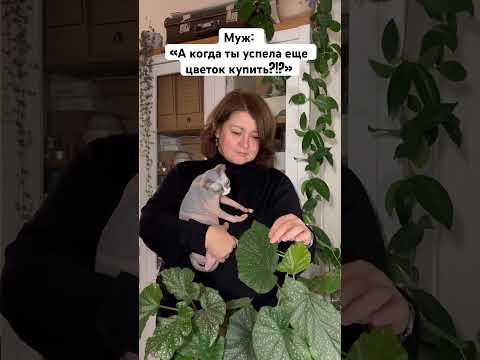 Пока муж без…дел,