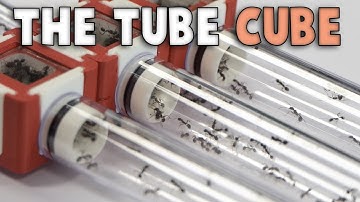 The Tube Cube - A Modular Test Tube System
