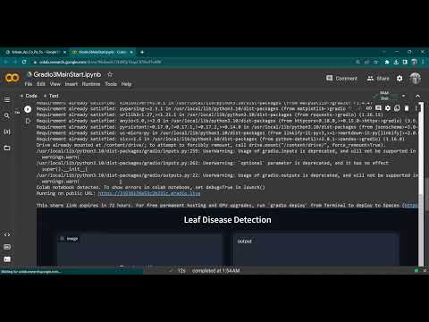 Leaf disease detection Google Colab Python Gradio Machine Learning