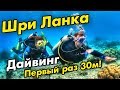 Дайвинг на Шри-Ланке - погружение на 33 метра первый раз! ДАЙВИНГ у Хиккадувы без лицензии. #9